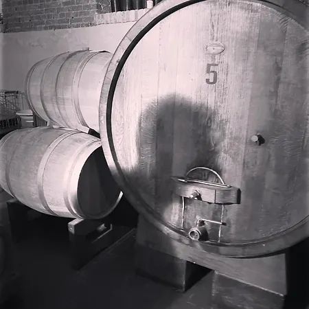 Sogno La Vigna - Adults Only * Montegrosso d'Asti