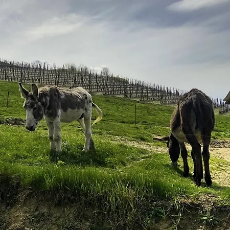 Sogno La Vigna - Adults Only Montegrosso d'Asti